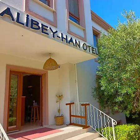 酒店 Alibeyhan 崇达